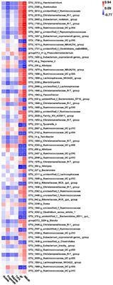 Effects of altitude on the gut microbiome and metabolomics of Sanhe heifers